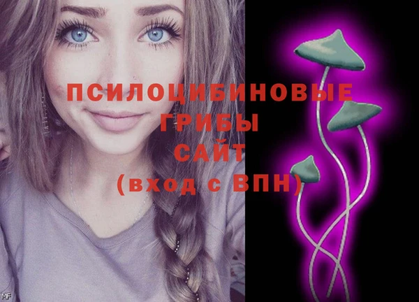 марки nbome Белокуриха